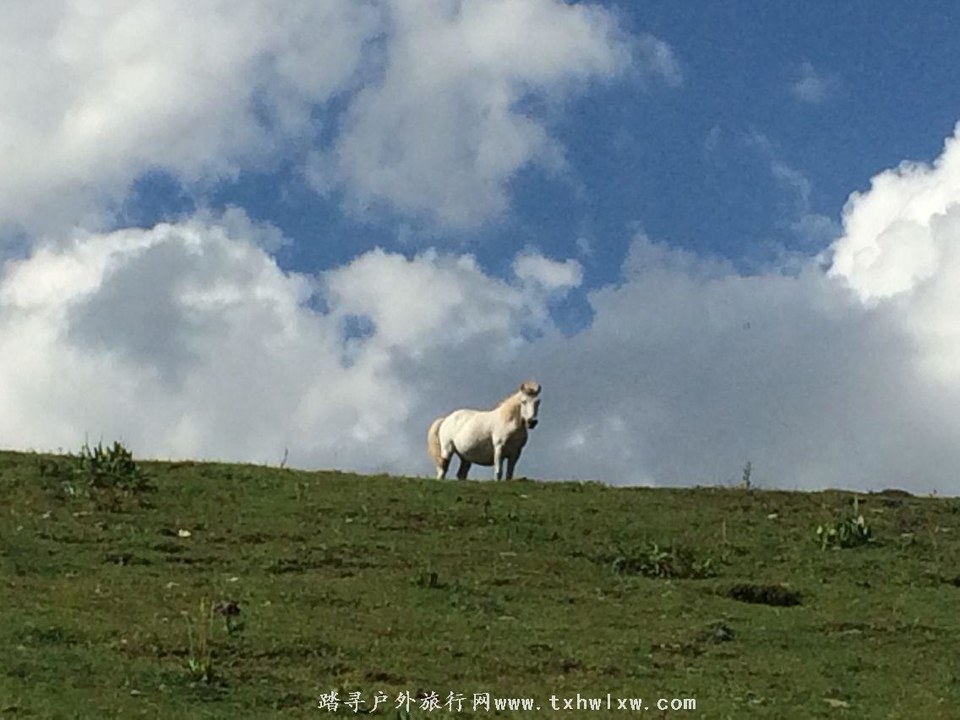 QQ图片20160904133602