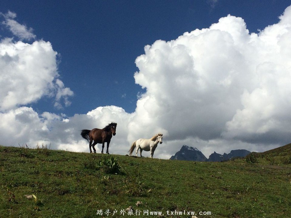 QQ图片20160904133605