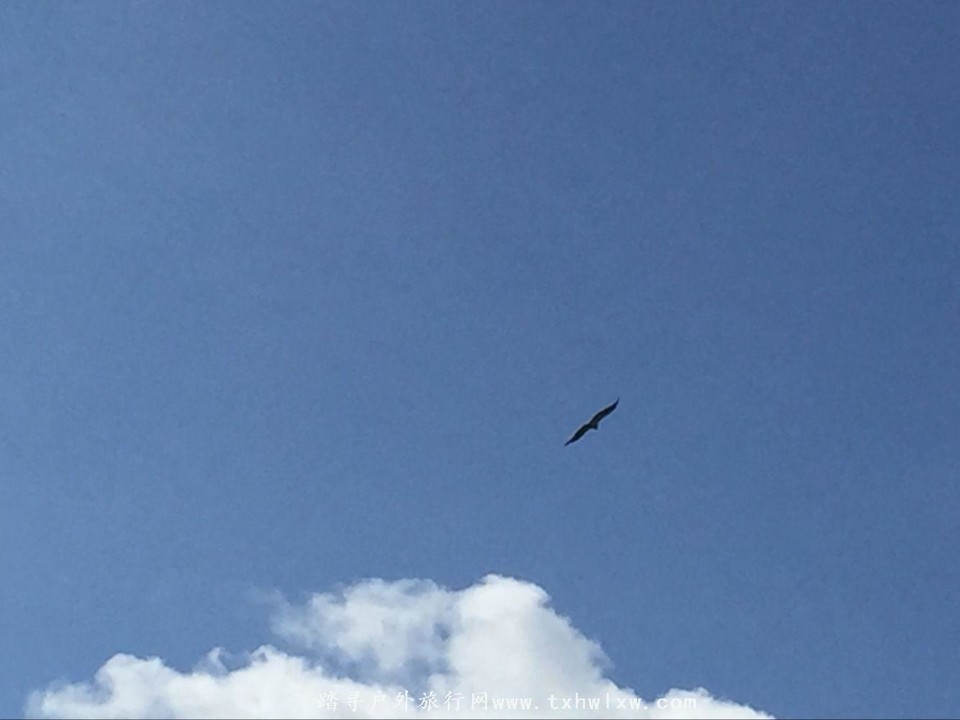 QQ图片20160904135819