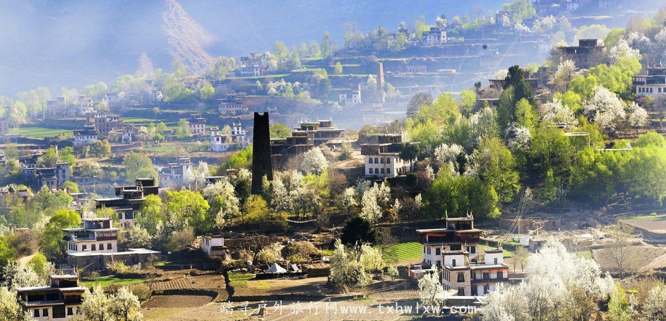 19095962_19095962_1363796381521