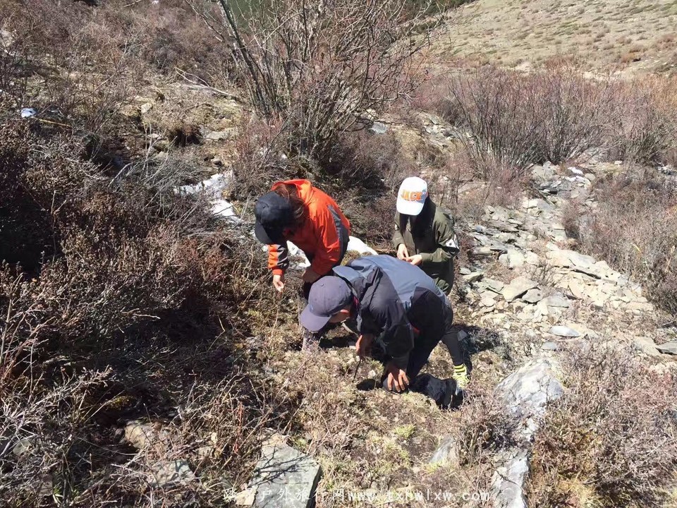 微信图片_20170521132746