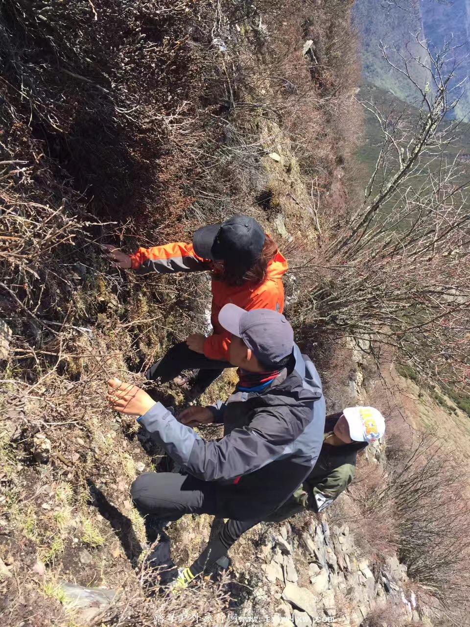 微信图片_20170521132749