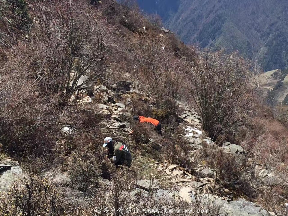 微信图片_20170521132752