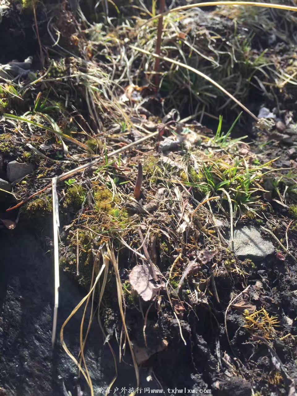 微信图片_20170521132754