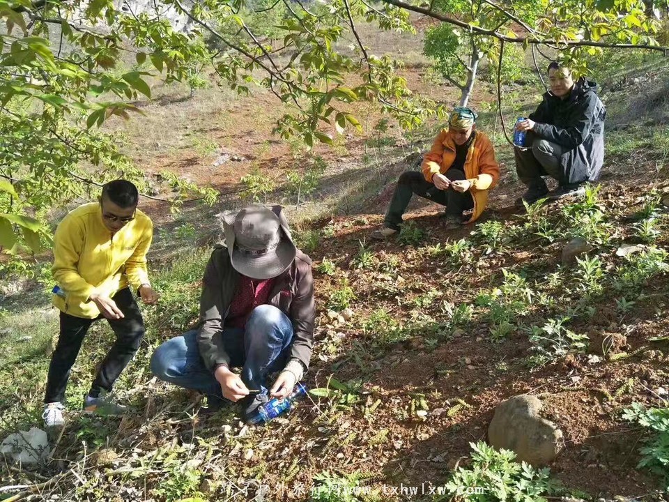 微信图片_20170521132841