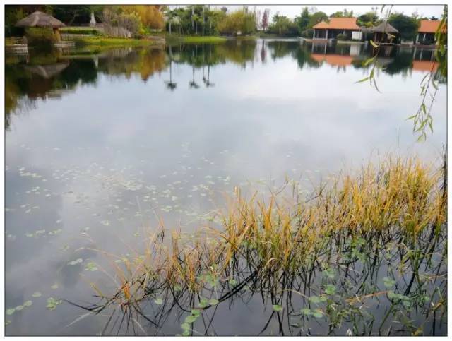 与抚仙湖的秘密约会