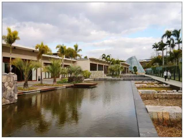 与抚仙湖的秘密约会