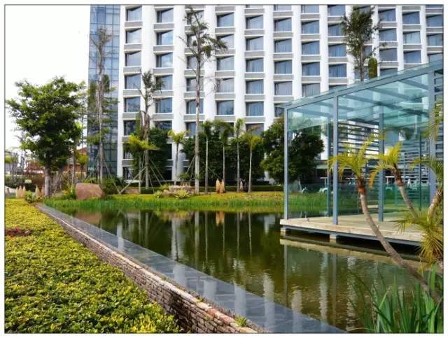 与抚仙湖的秘密约会