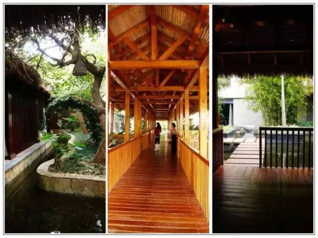 与抚仙湖的秘密约会