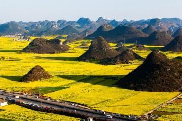 【春节假期】2月5日、2月12日各一期：六天广西德天，巴马，云南罗平巴士游