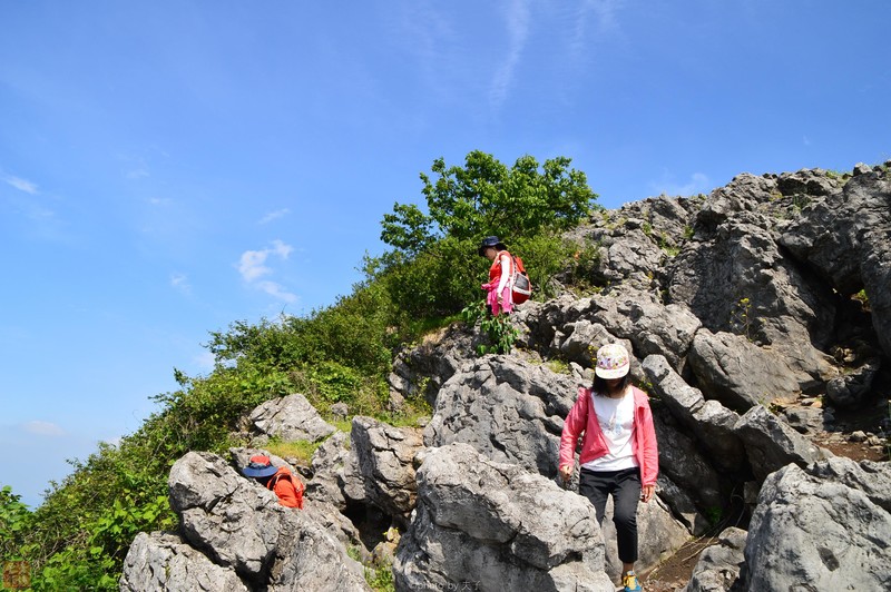 5月10日 鄂东南最美石林 黄石第一高峰—南岩峰野果采摘登山徒步