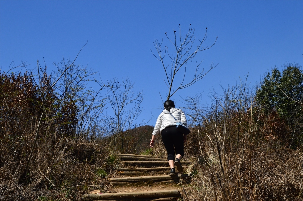 【登山徒步】[3月24日星期六] 国家级登山健身步道——父子山登山徒步