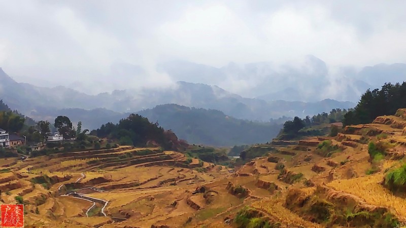 远处的山峦,在云海的游动下,若隐若现.