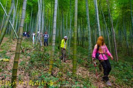 DSC_2793_20160910_15