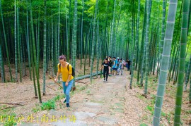 DSC_2813_20160910_35