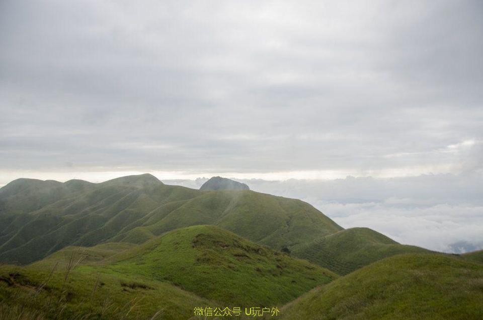 QQ图片20170418112842