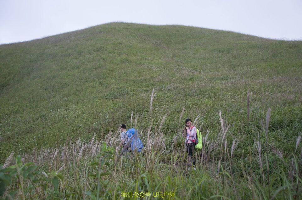 QQ图片20170418113403