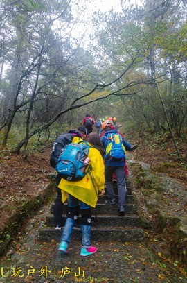 DSC_4629_20161023_43