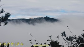 DSC_4630_20161023_44