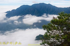 DSC_4751_20161023_165