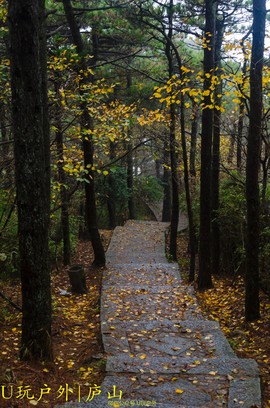 DSC_4817_20161023_231