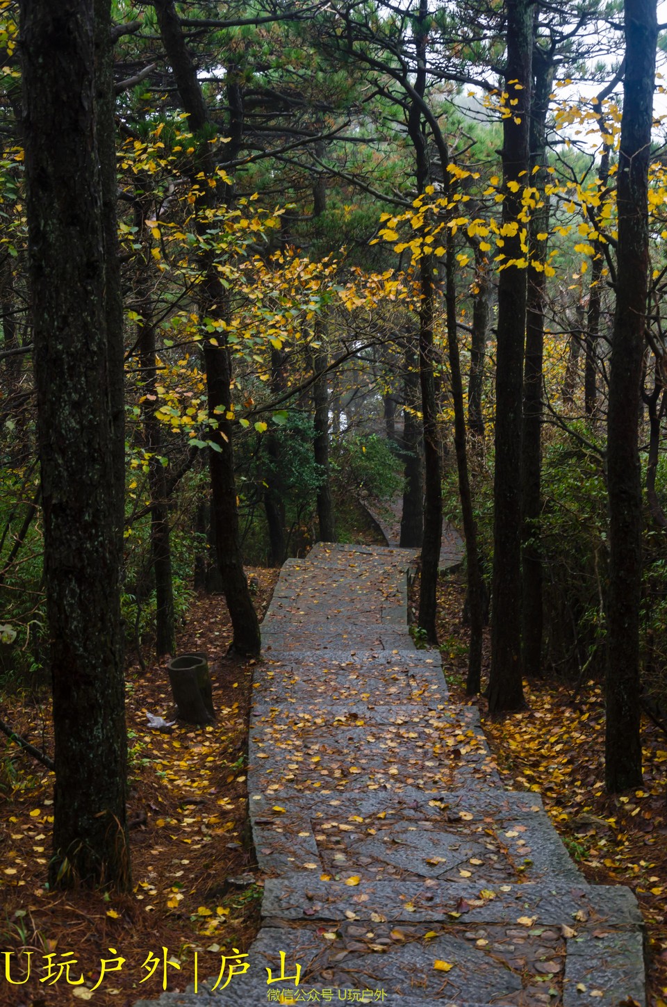 DSC_4817_20161023_231