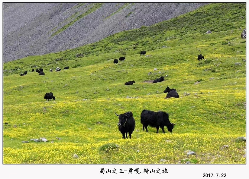 mmexport1530619269548