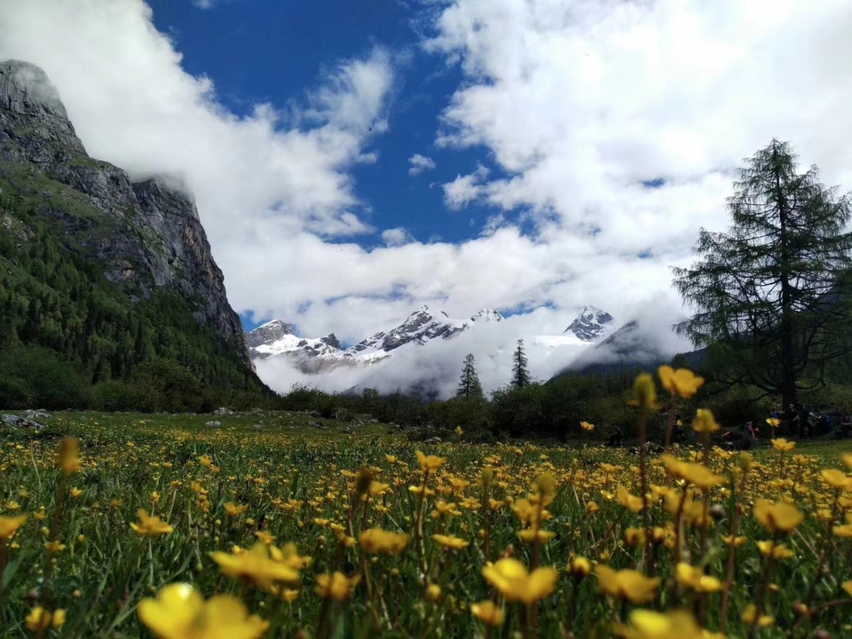 mmexport1530619323857