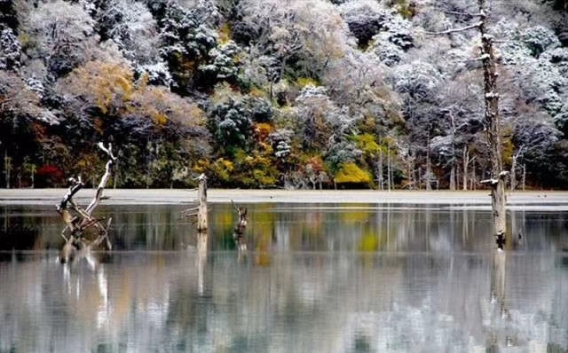 mmexport1530619391006