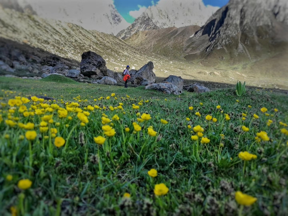 mmexport1530619416476