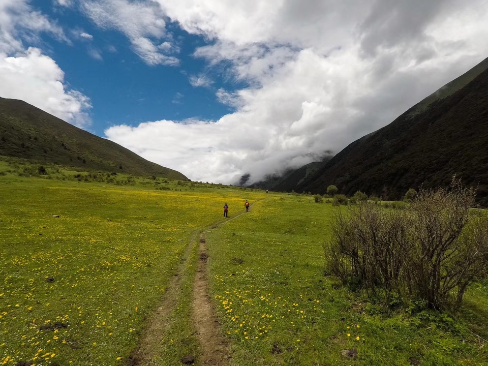 mmexport1530619419807