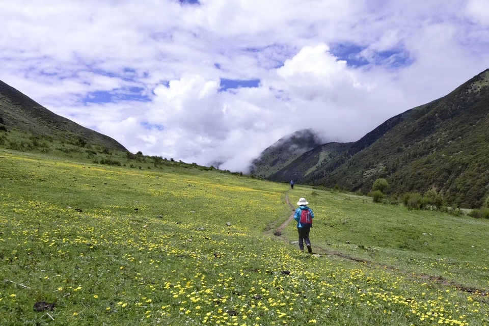 mmexport1530619462407