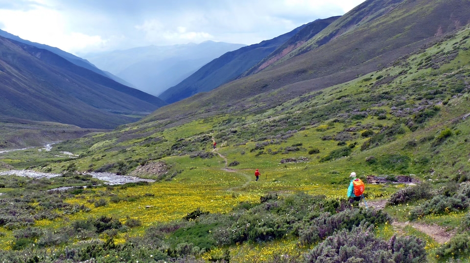 mmexport1532068087483