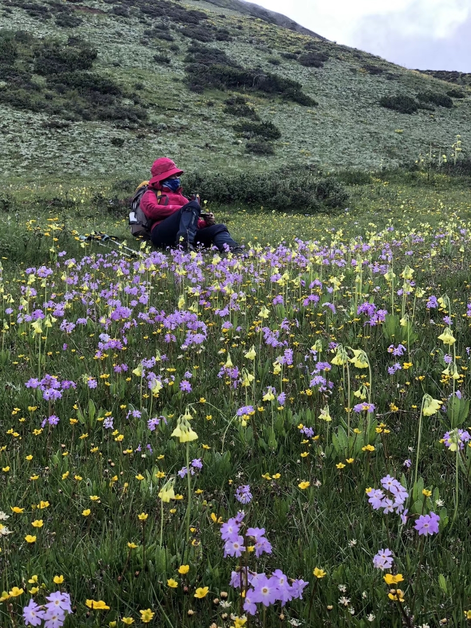 mmexport1532068080125