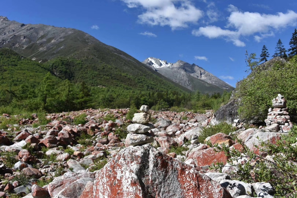 mmexport1532067950345