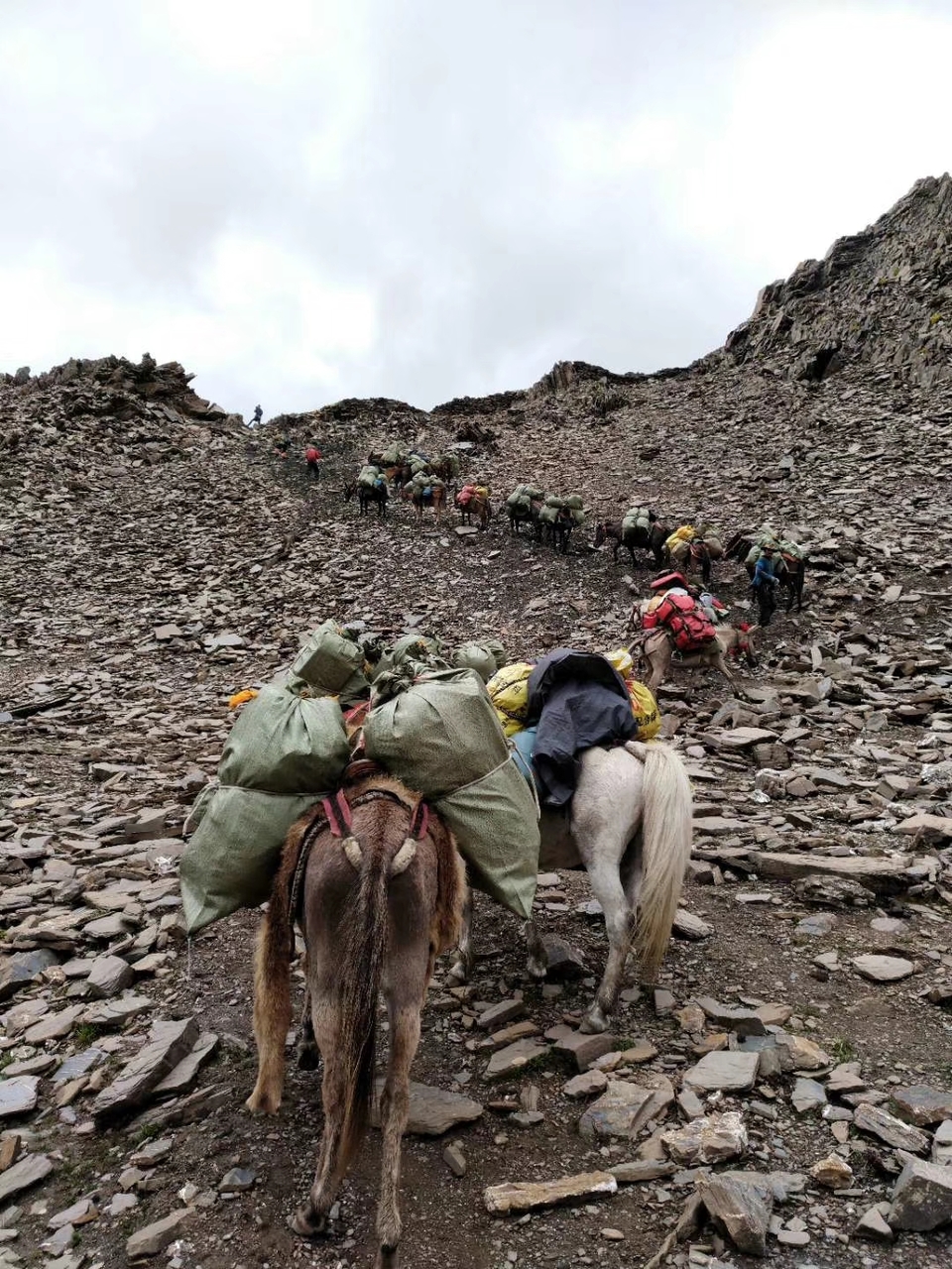 mmexport1532067945210