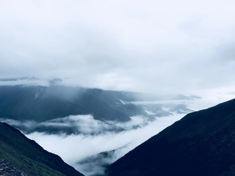 mmexport1532067875749