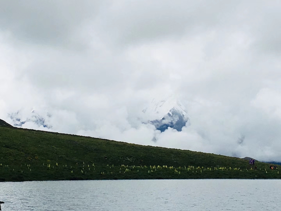 mmexport1532067873124