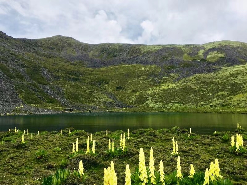 mmexport1532067870716