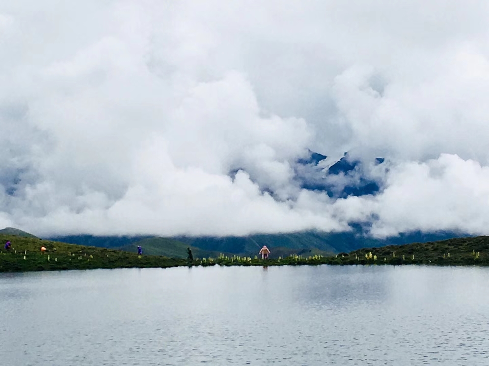 mmexport1532067865015