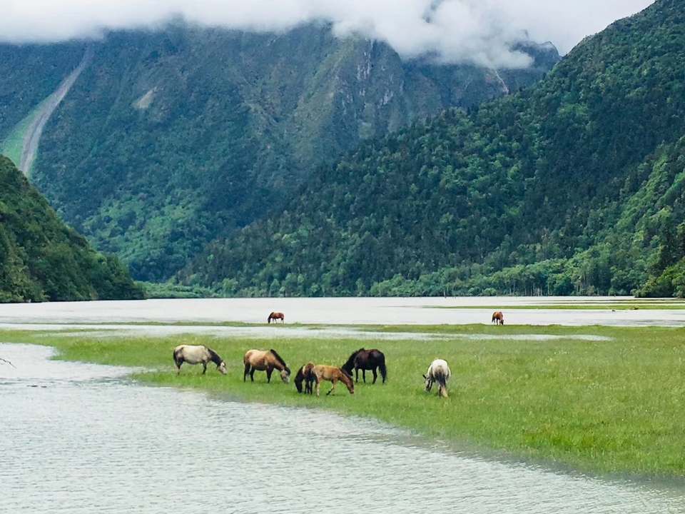 mmexport1532067860215