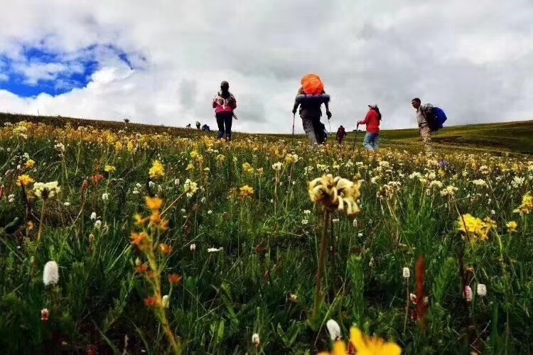 mmexport1532067850445