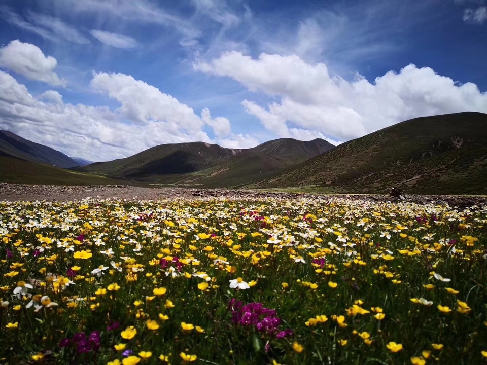 mmexport1532067848157