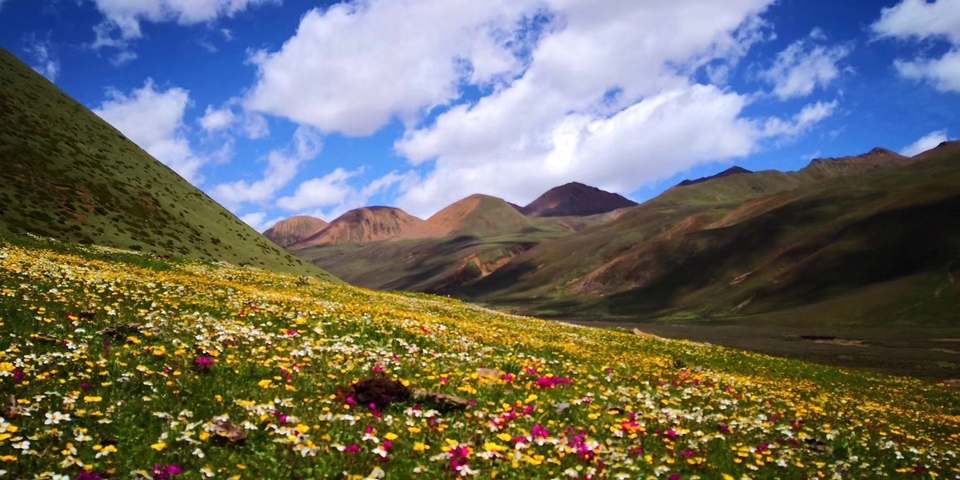 mmexport1532067846028