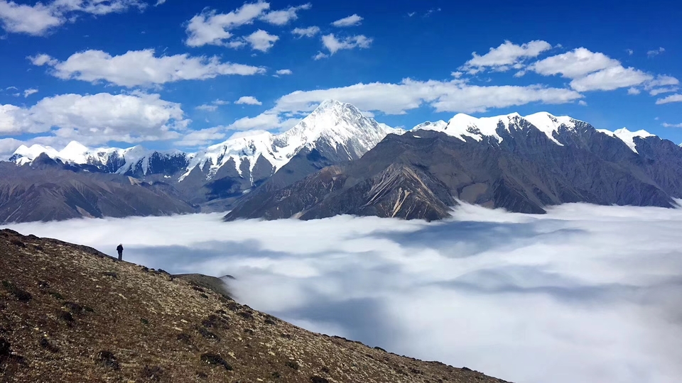 mmexport1532067835800