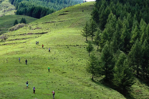 2026 秘境五台山 | 东台 北台 中台 西台 南台 台怀镇 佛光寺 5日活动