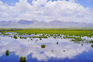 5.16成行U悠带队【遇见甘南·江迭公路7日】解锁甘南绝美秘境小车团，走进扎尕那，莲宝叶则，桑科草原，若尔盖，拉卜楞寺