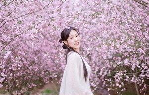 4.4【赏花自驾】清明赴一场烂漫山野樱花季-猪娘岭，覆卮山，清潭坑，四明山小众秘境赏樱，三日赏花自驾之旅