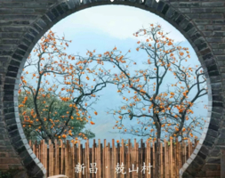 10.24【自驾约伴】柿柿如意柿林古村，云端村落下岩贝，沃洲湖南山梯田，韩妃江Ω大拐弯，东宫初见桥，小众赏秋路线