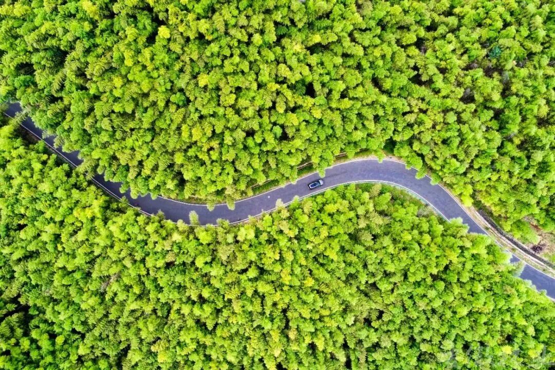 9、竹乡画廊 (2).jpg 9、竹乡画廊 (2).jpg